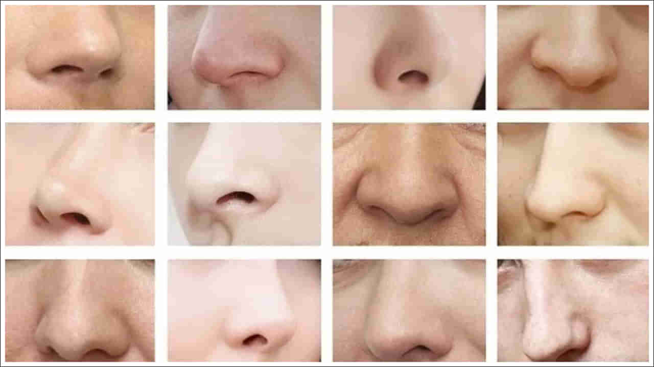 Personality Test: మీ ముక్కు ఆకారం ఇలా ఉందా? మీరు ఎలాంటి వారో చెప్పేయవచ్చు!