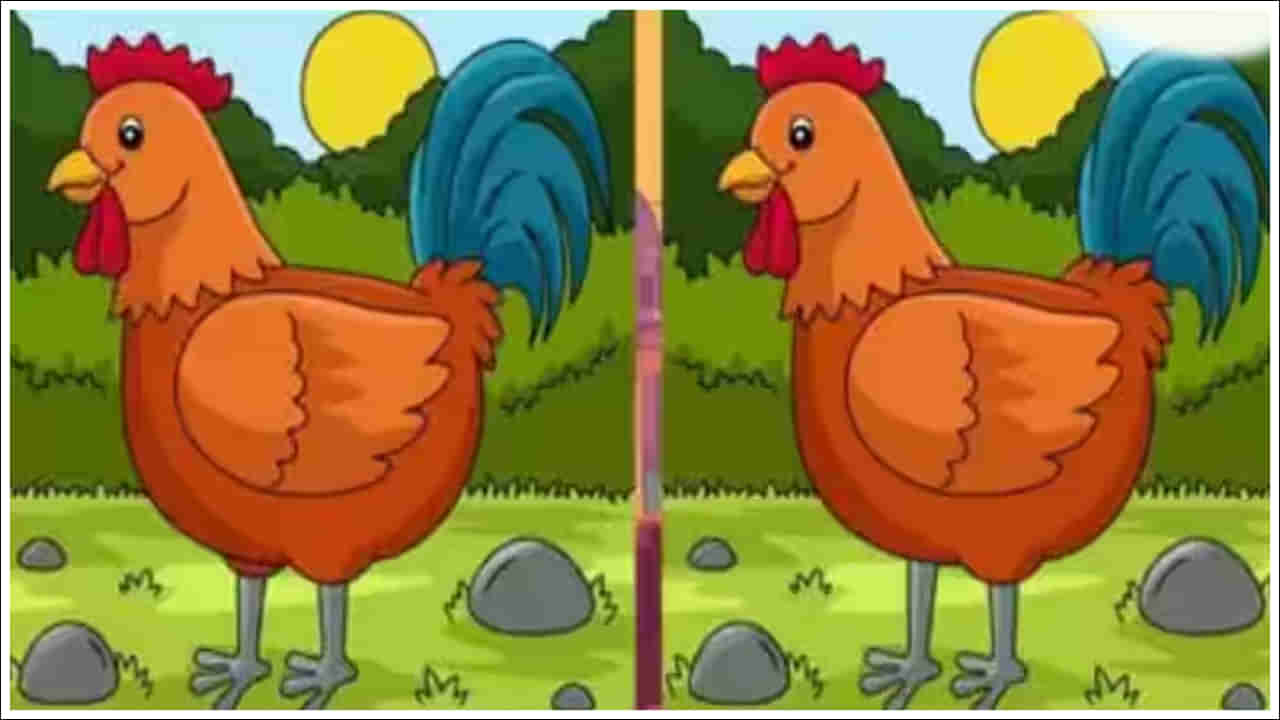 Picture Differences: ఈ ఫోటోలో 3 తేడాలు ఉన్నాయి.. 10 సెకన్లలో గుర్తిస్తే మీరు తోపులే!