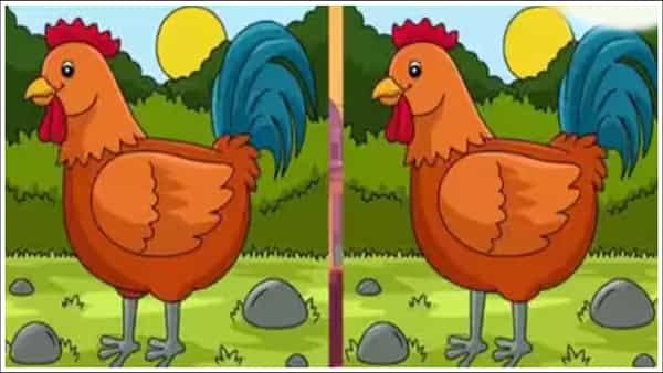 Picture Differences: ఈ ఫోటోలో 3 తేడాలు ఉన్నాయి.. 10 సెకన్లలో గుర్తిస్తే మీరు తోపులే!