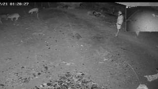 Telangana: వారాంతపు సంతలో నాన్నతో వెళ్లి పల్లీలు కొనుకున్న బాలుడు – రాత్రి తింటుండగా