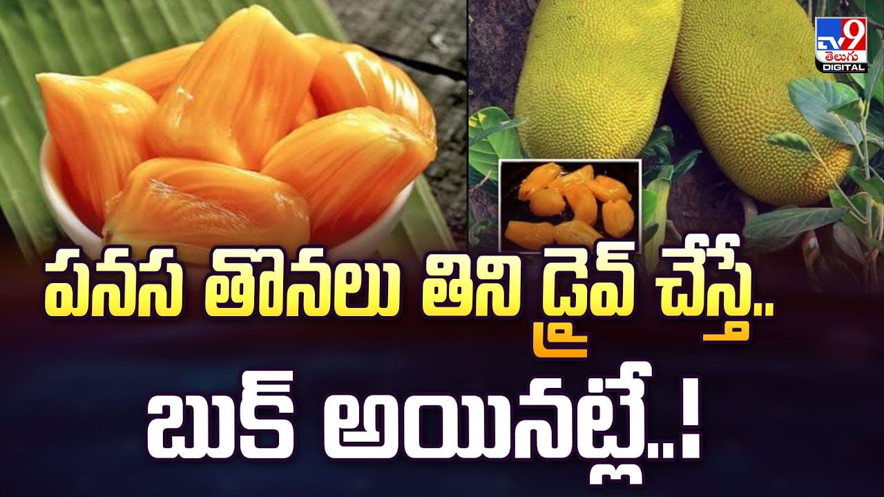 పనస తొనలు తిని డ్రైవ్ చేస్తే.. బుక్‌ అయినట్లే వీడియో