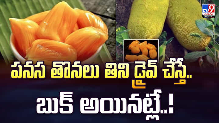 పనస తొనలు తిని డ్రైవ్ చేస్తే.. బుక్ అయినట్లే వీడియో పనస తొనలు తిని డ్రైవ్ చేస్తే.. బుక్ అయినట్లే వీడియో