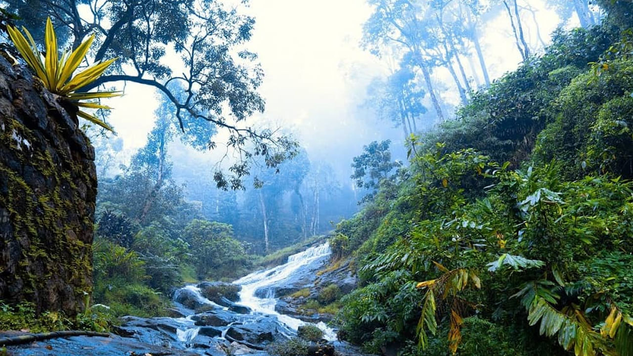 చిరపుంజీ, మేఘాలయ: రికార్డు స్థాయిలో వర్షపాతం నమోదవుతున్న చిరపుంజీ వర్షాకాలంలో ఒక అద్భుత ప్రదేశంగా మారుతుంది. ఒంటరిగా ప్రయాణికులు లివింగ్ రూట్ బ్రిడ్జిలకు వెళ్లి ట్రెక్కింగ్ చేయవచ్చు, గుహలను చూస్తూ, పొగమంచుతో కప్పబడిన కొండలు, పచ్చని చెట్లు, జలపాతాల సందడి చూస్తూ ఆనందంగా ఎంజాయ్ చేయవచ్చును.