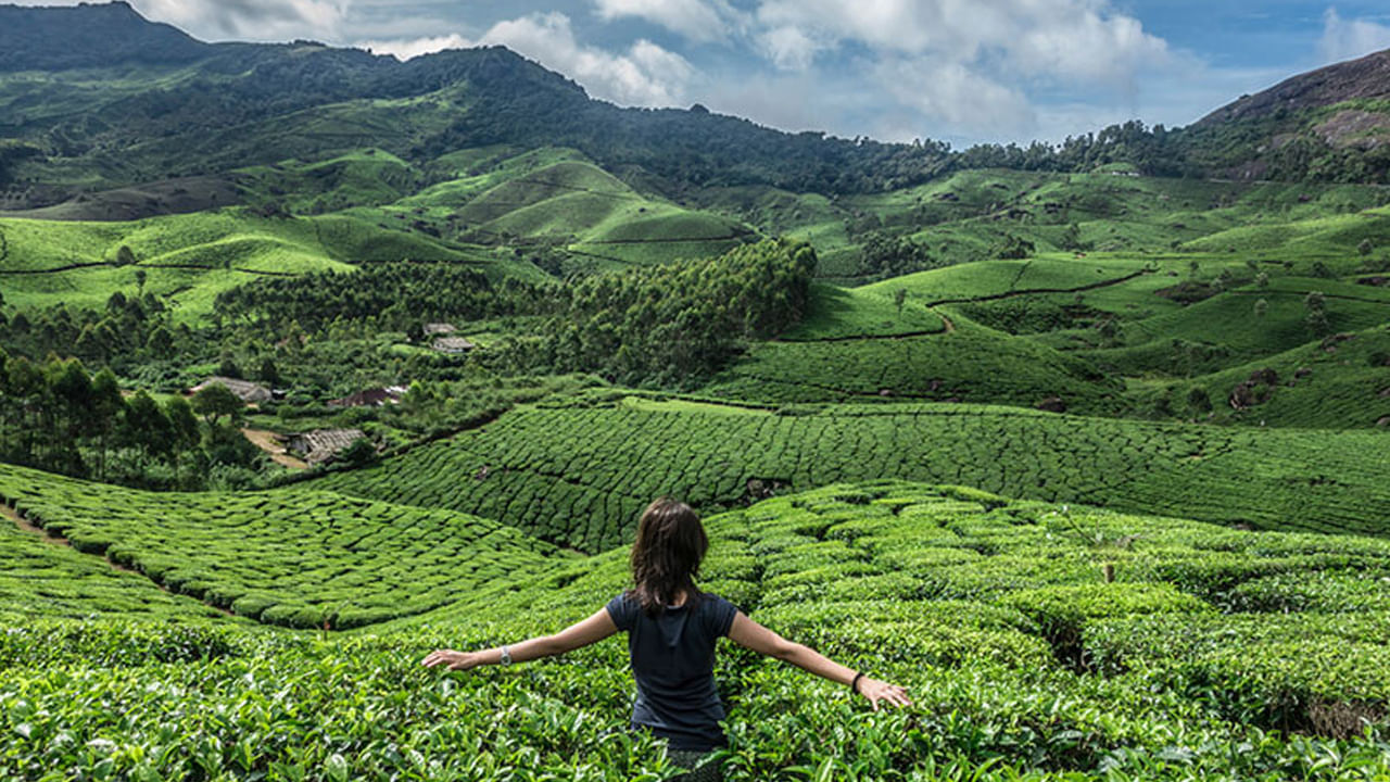 మున్నార్, కేరళ : వర్షాకాలంలో మున్నార్ వాతావరణం ఓ అద్భుతం అనే చెప్పాలి. మంచుతో కప్పబడిన కొండలు, ఉత్సాహభరితమైన పచ్చని టీ తోటలు, ఉప్పొంగుతున్న జలపాతాలతో మున్నార్ తన అందాలతో పర్యాటకుల మనసు దోచేసుకుంటుంది. ప్రశాంతమైన ప్రకృతి సుందరమైన  దృశ్యాలు  చూడటానిక వర్షంలో తడుస్తూ కబుర్లు చెప్పుకుంటూ అందమైన ప్రకృతి చూడటానికి రెండు కళ్లు సరిపోవు.