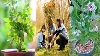 Tuesday Hanuman Puja: మంగళవారం హనుమంతుడికి పూజ చేస్తున్నారా.? నియమాలు ఇవే..