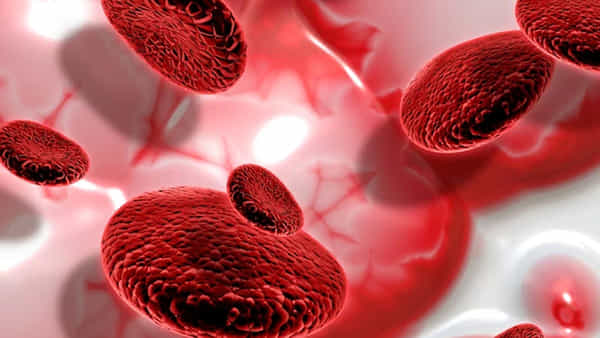 Platelets: ప్రాణాలు తీసే ప్లేట్లెట్స్ లోపం.. లక్షణాలు, తీసుకోవాల్సిన జాగ్రత్తలివే