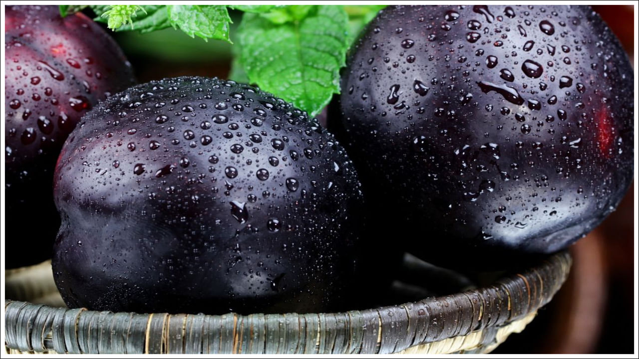 Plum Benefits: రేగు పండ్లు చాలా ప్రయోజనకరమైన పండ్లలో ఒకటి. అయినప్పటికీ అవి కొంచెం ఖరీదైనవి. నిజం ఏమిటంటే చాలా మంది ఈ ఎర్రటి, జ్యుసి పండ్లను దాని అధిక ధర కారణంగా కొనరు. అయితే, రేగు పండ్లు యాంటీఆక్సిడెంట్లు, ఫైబర్‌తో సహా అనేక ఆరోగ్య ప్రయోజనాలను అందిస్తాయి. మీరు రోజుకు ఒక రేగు పండు తింటే ఎన్నో ఉపయోగాలు ఉన్నాయంటున్నారు నిపుణులు. దీని ఆరోగ్య ప్రయోజనాలు ఏంటో తెలుసుకుందాం.