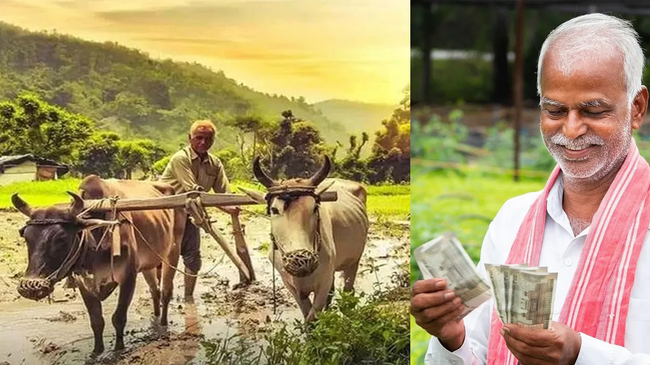 PM Kisan: రైతులకు గుడ్‌న్యూస్‌.. పీఎం కిసాన్‌ 21వ విడత విడుదల.. ఆ 3 రాష్ట్రాలకు మాత్రమే!