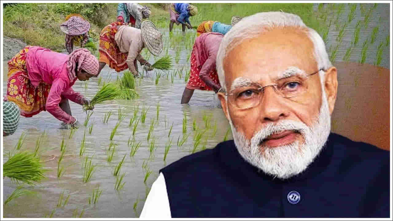 PM Kisan: రైతులకు గుడ్‌న్యూస్‌.. పీఎం కిసాన్‌ నిధుల విడుదలకు తేదీ ఖరారు.. వీరికి మాత్రం రావు!