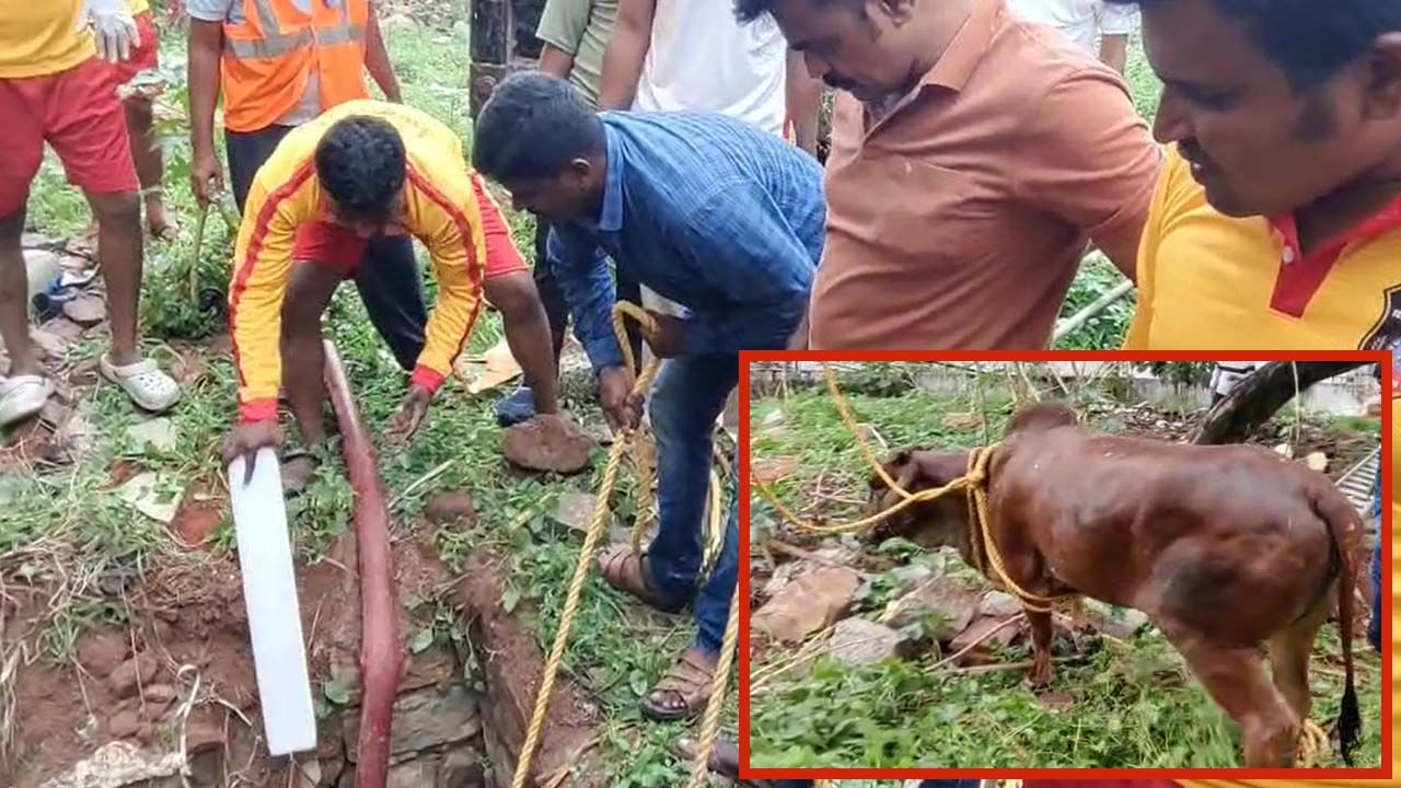 ప్రజలే కాదు.. మూగజీవులను రక్షిస్తాం.. పోలీసులు చేసిన పనికి హ్యాట్సాఫ్!