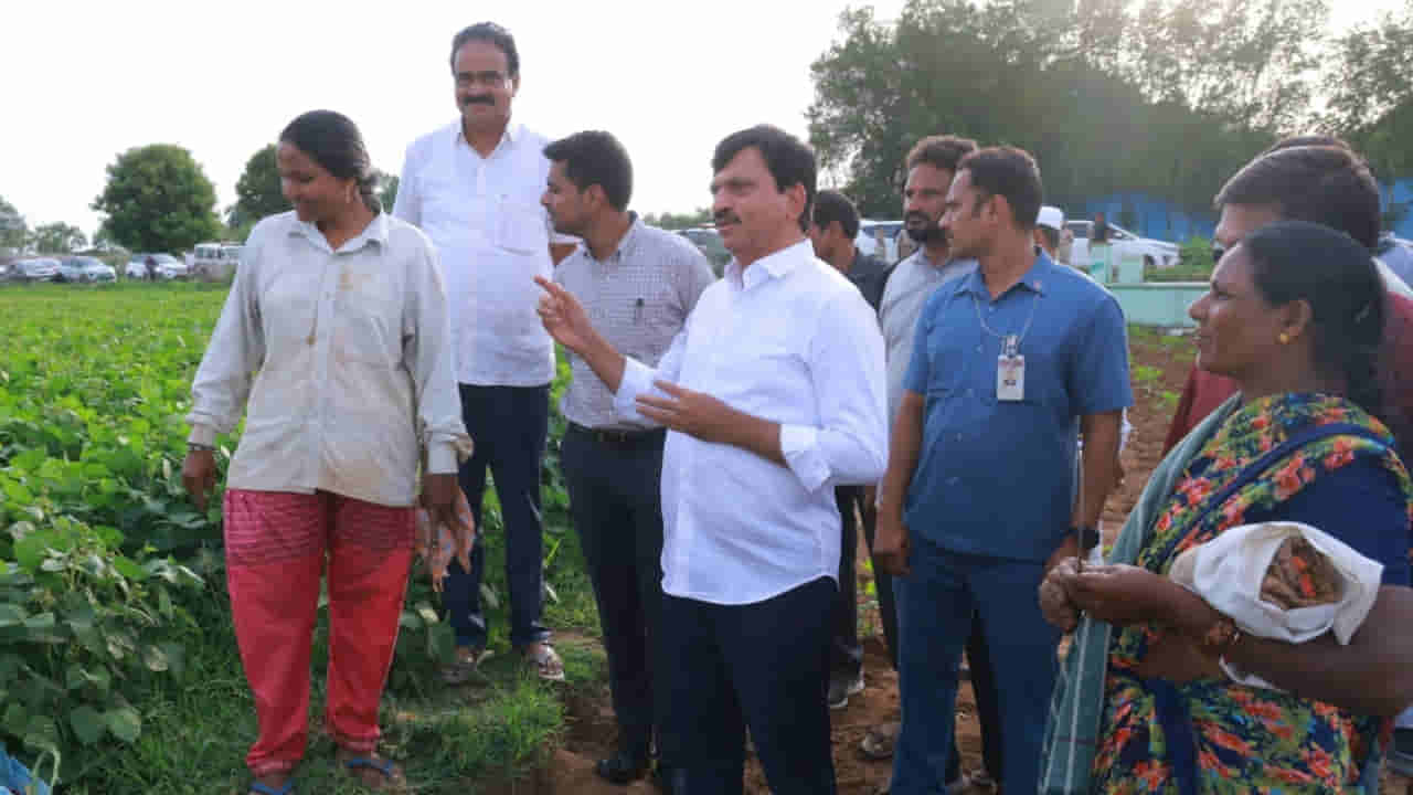 Ponguleti Srinivas Reddy: కూలీలతో ముచ్చటించిన మంత్రి పొంగులేటి.. సమస్యలు చెప్పుకున్న రైతులు!