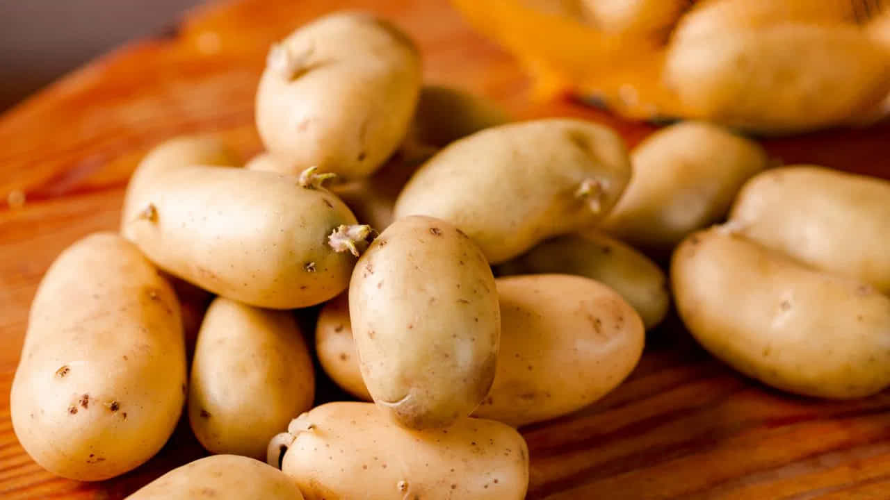 Potato