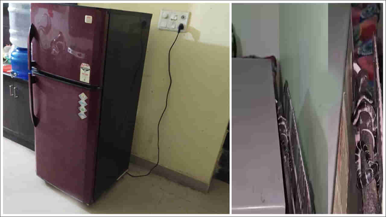 Viral Video: ఇంట్లో వింత శబ్దాలు.. ఫ్రిజ్‌ వెనుకాల చూడగానే ముచ్చెమటలు పట్టేశాయ్‌.. వీడియో వైరల్‌