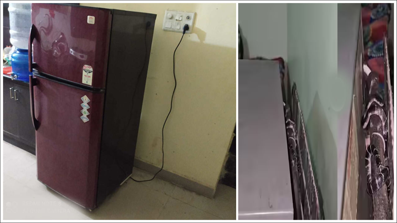 Viral Video: ఇంట్లో వింత శబ్దాలు.. ఫ్రిజ్‌ వెనుకాల చూడగానే ముచ్చెమటలు పట్టేశాయ్‌.. వీడియో వైరల్‌