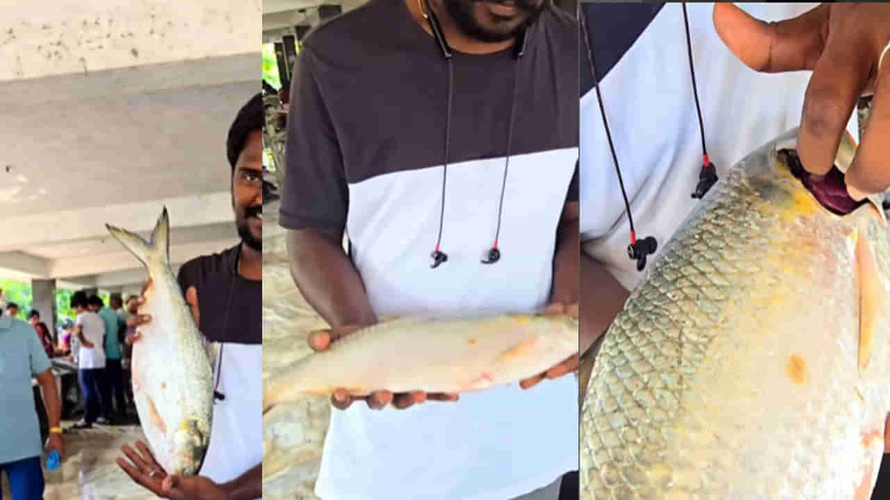 Pulasa: రికార్డ్ బ్రేక్.. కేజిన్నర పులస వేలంలో ఎంత పలికిందో తెలిస్తే నోరెళ్లబెడతారు