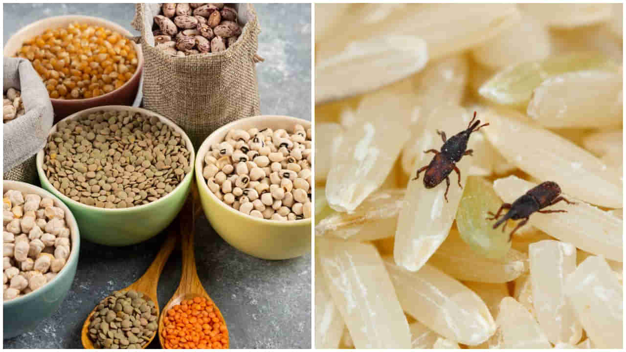 Pest Control: వర్షాకాలంలో ధాన్యాలకు పురుగు పట్టకుండా.. సులభమైన 6 ఇంటి చిట్కాలు!