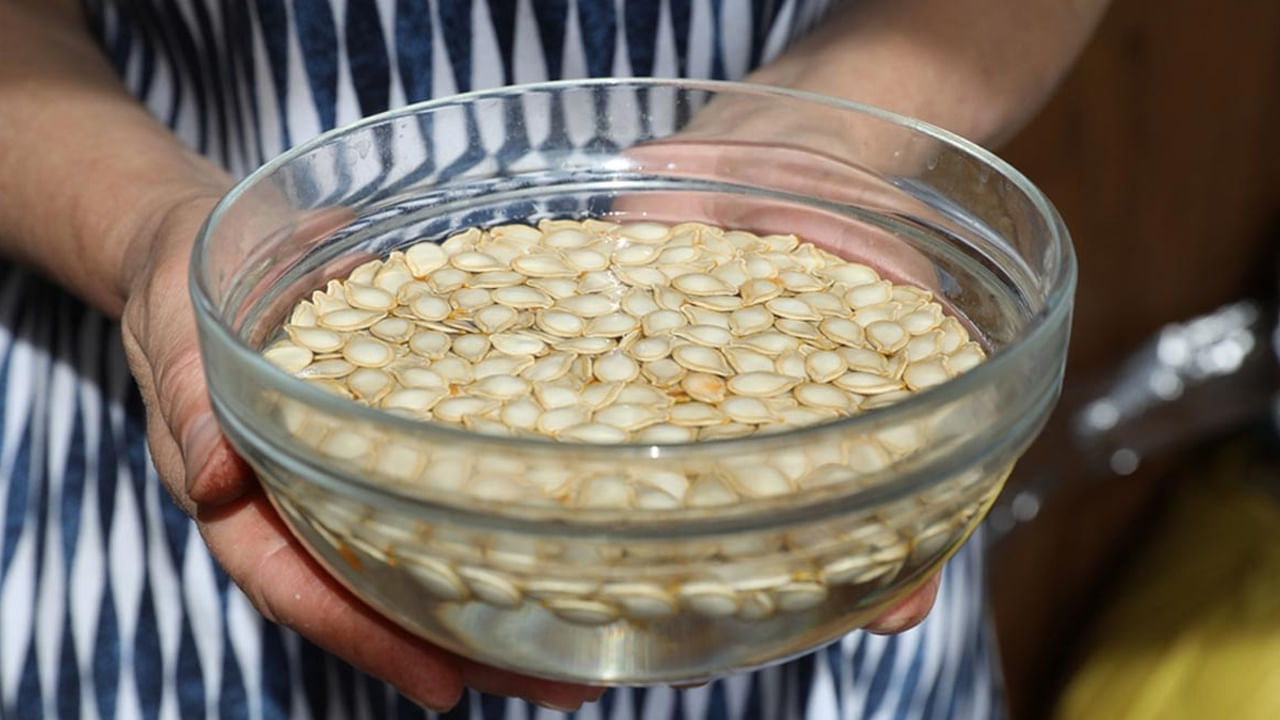 గుమ్మడి గింజల్లో అనేక పోషక విలువలు ఉంటాయి. వాటిని నానపెట్టిన నీరు తాగితే అనేక ప్రయోజనాలు పొందొచ్చునని పోషకాహార, వైద్య ఆరోగ్య నిపుణులు చెబుతున్నారు. గుమ్మడి గింజల నీరు కొలొస్ట్రాల్​ని తగ్గిస్తుంది. బీపీని కంట్రోల్​ చేస్తుంది. గుండె ఆరోగ్యానికి మంచిది.