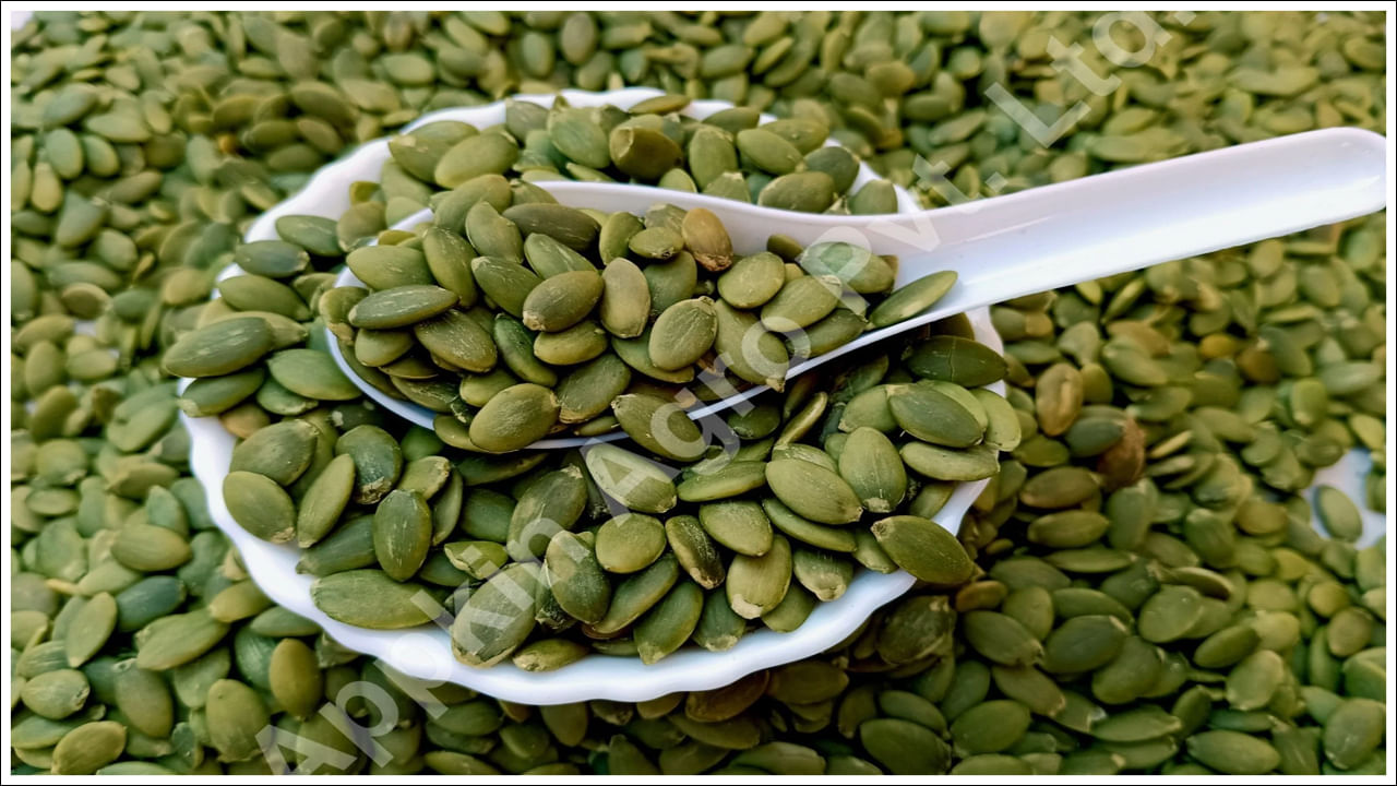 Pumpkin Seeds: వ్యాధులను తరిమికొట్టే గుమ్మడి గుంజలు.. ప్రయోజనాలు తెలిస్తే ఆశ్చర్యపోవాల్సిందే!