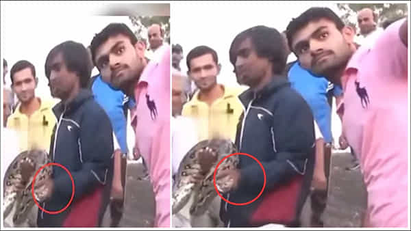 Viral Video: తిక్క కుదిరింది.. కొండ చిలువతో సెల్ఫీ.. క్షణాల్లోనే ఏం జరిగిందో చూడండి!