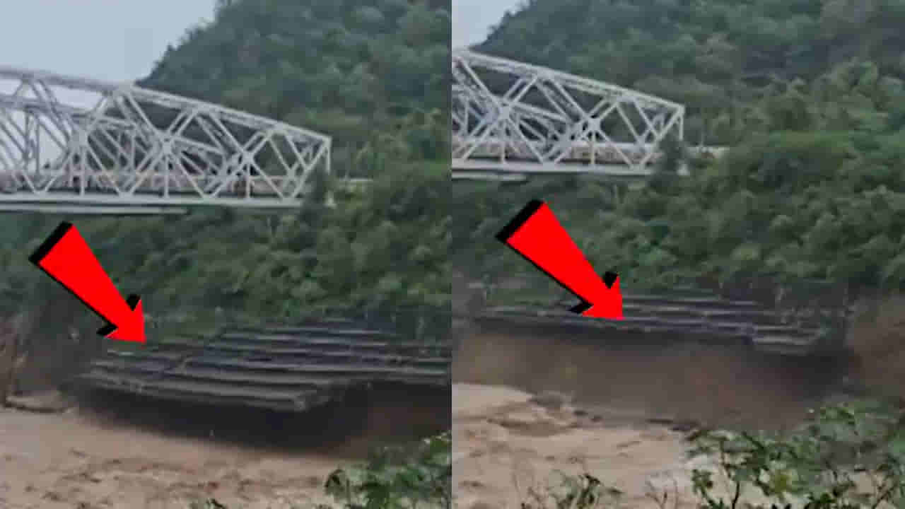Viral Video: ఎత్తైన బ్రిడ్జిపై నుంచి వెళ్తున్న ట్రైన్.. ఒక్కసారిగా కూలిపోయిన బేస్ భాగం.. తర్వాత ఏం జరిగిందంటే?