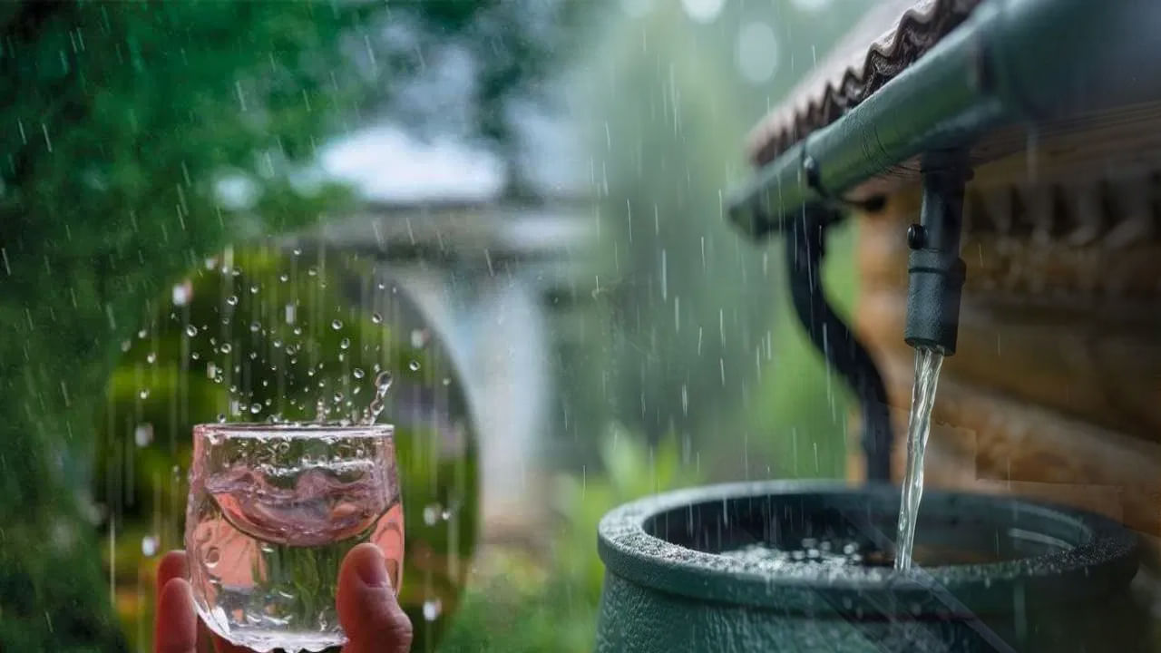Rain Water: శ్రావణ మాసంలోని వర్షం నీరు అమృతంతో సమానం.. ఈ నీటితో చేసే పరిహారాలతో అప్పుల సహా అనేక సమస్యల నుంచి విముక్తి.