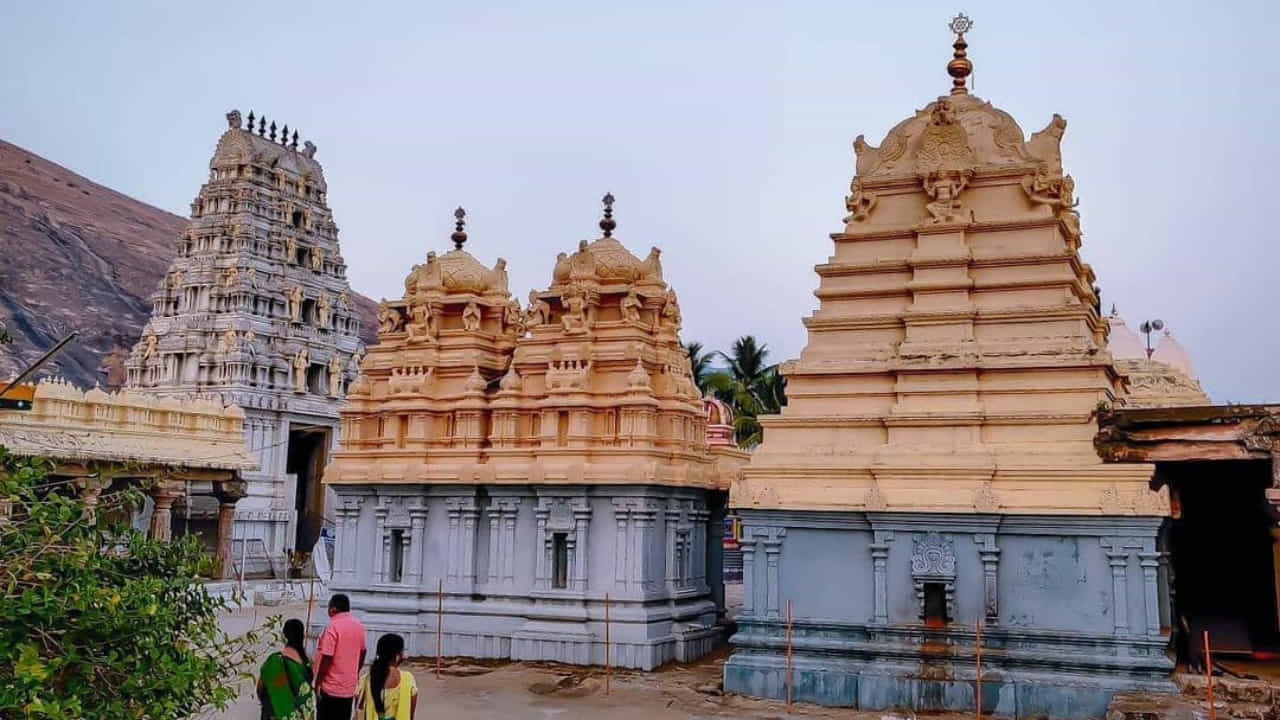విజయనగరం జిల్లాలోని రామతీర్ధం సీతారాముల ఆలయానికి ప్రసిద్ధి చెందింది. ఇక్కడ ఆలయాన్ని ఏటా వేలాది మంది భక్తులు దర్శించుకుంటారు. రామతీర్ధం ఆలయాన్ని సందర్శించేవారు దీనికి పక్కనే ఉన్న బోదికొండను కూడా సందర్శించవచ్చు. 16వ శతాబ్దంలో విజయనగర మహారాజులు ఈ ప్రాంతాన్ని పరిపాలించారు. దేవాలయ నిర్మాణం కూడా ఈ కాలంలో జరిగిందని చెబుతారు. ప్రతి సంవత్సరం మహాశివరాత్రి, శనివారాలలో అనేక మంది భక్తులు సందర్శిస్తారు.