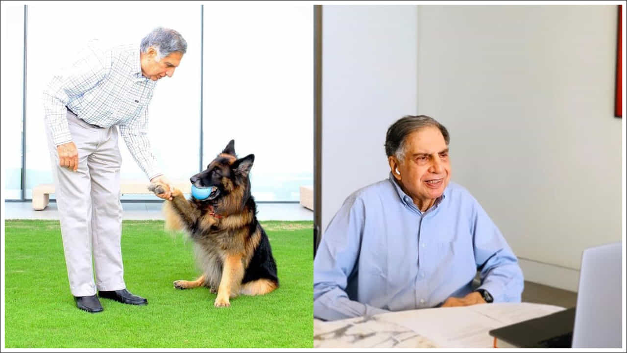 ఇంట్లో మెట్లు అద్భుతం: ఈ ఇల్లు అత్యంత అద్భుతమైన లక్షణం ఏమిటంటే ప్రవేశద్వారం నుండి మెట్లు కనిపిస్తాయి. ఇది సినిమా సెట్ కంటే తక్కువ కాదు. ఈ మెట్లు ఎక్కితే సౌకర్యవంతమైన గది కనిపిస్తుంది. 'సౌఖ్యానికి మించిన లగ్జరీ లేదు' అంటారు కానీ, ఈ ఇల్లు కూడా అలాగే ఉండేలా డిజైన్ చేశారు.