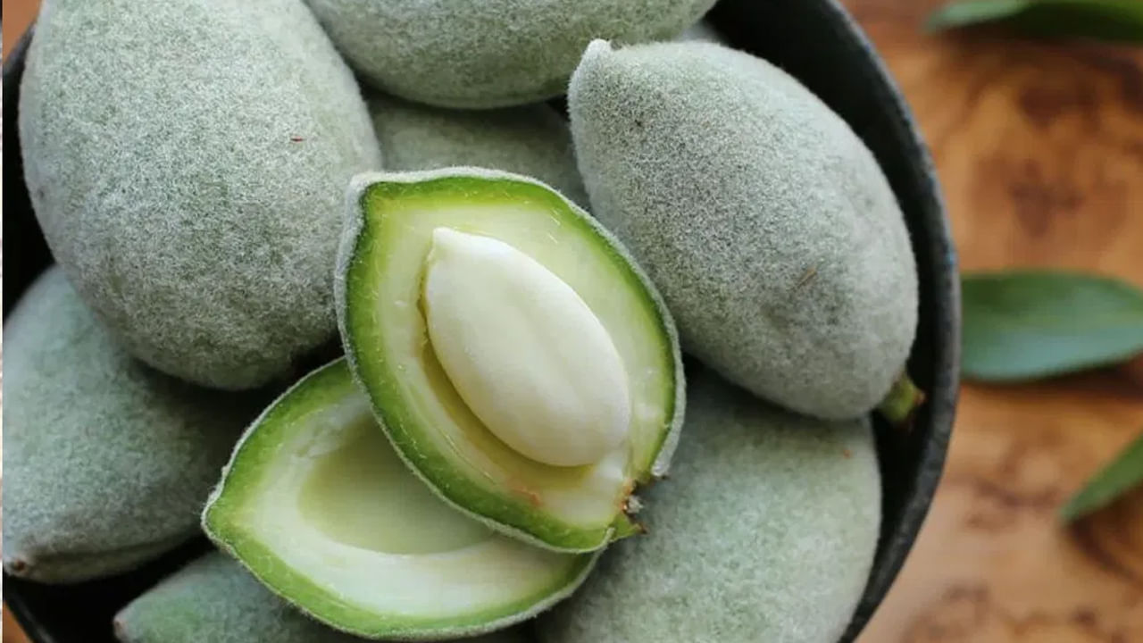 అయితే, చాలా మంది వాటిని నానబెట్టకుండానే తింటుంటారు. అయినప్పటికీ వాటి పోషక విలువల్లో ఎలాంటి తేడా ఉండదు. రోజుకు 4-5 బాదంపప్పులు ఆరోగ్యానికి చాలా ప్రయోజనకరంగా ఉంటాయి. కానీ మీరు ఎక్కువగా తింటే మాత్రం లేనిపోని చిక్కుల్లో పడతారు. నిపుణుల అభిప్రాయం ప్రకారం.. బాదంలో చాలా ఫైబర్ ఉంటుంది. కానీ ఎక్కువగా బాదం తినడం వల్ల ఆరోగ్యంపై ప్రతికూల ప్రభావాలు పడతాటాయి. దీని కారణంగా ఇది జీర్ణక్రియను ప్రభావితం చేస్తుంది. గ్యాస్, అపానవాయువు, జీర్ణ సమస్యలు, తిమ్మిరి సమస్యలు వస్తాయి.