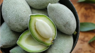 తెలంగాణ బోనాల స్పెషల్ మటన్ కర్రీ రెసిపీ.. ఇలా చేస్తే ముక్క మిగలదు..!