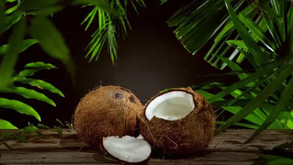 Raw Coconut: పచ్చి కొబ్బరిని చీప్గా చూడకండి.. మెదడుకి పదును నుంచి జుట్టు పోషణ వరకు ఎన్నో లాభాలు!