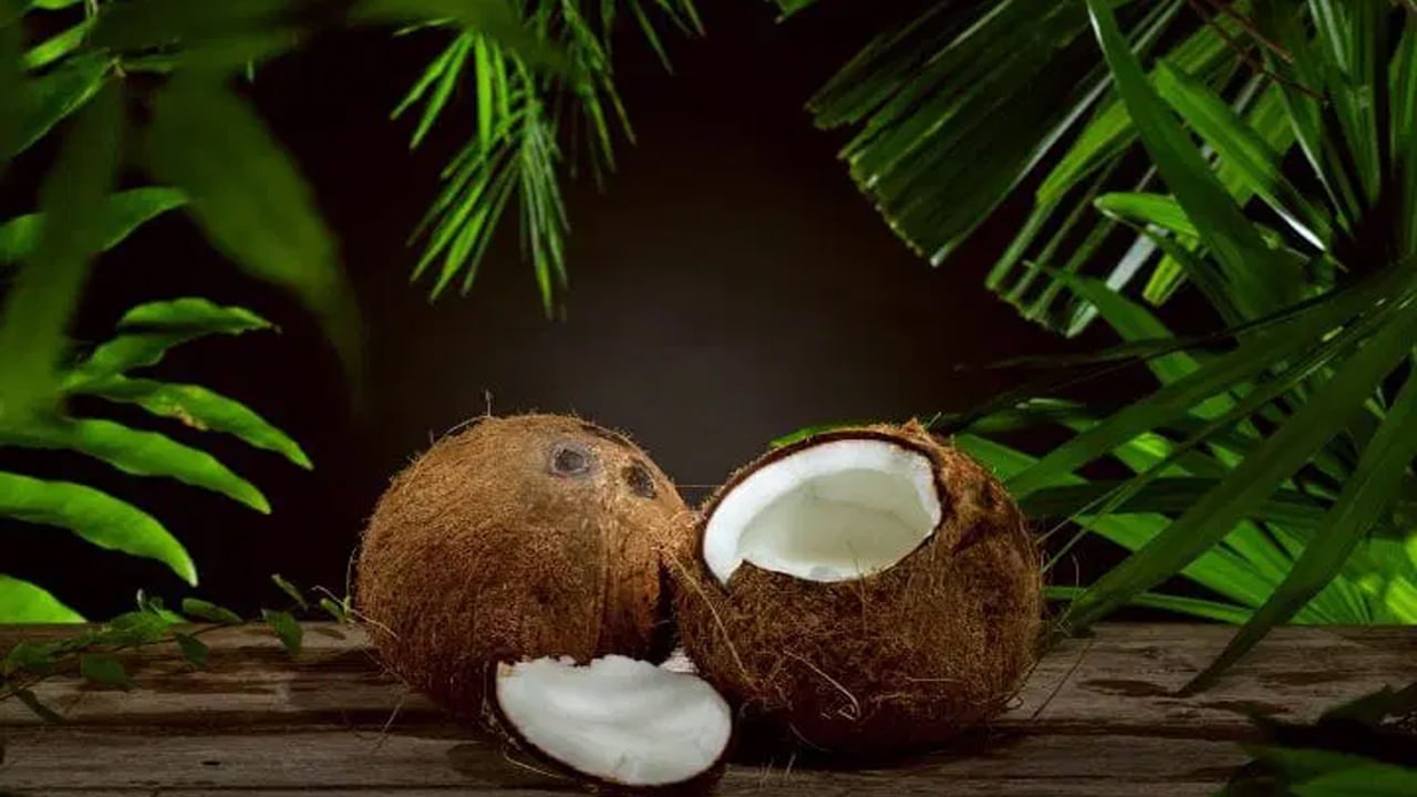 Raw Coconut: పచ్చి కొబ్బరిని చీప్‌గా చూడకండి.. మెదడుకి పదును నుంచి జుట్టు పోషణ వరకు ఎన్నో లాభాలు!