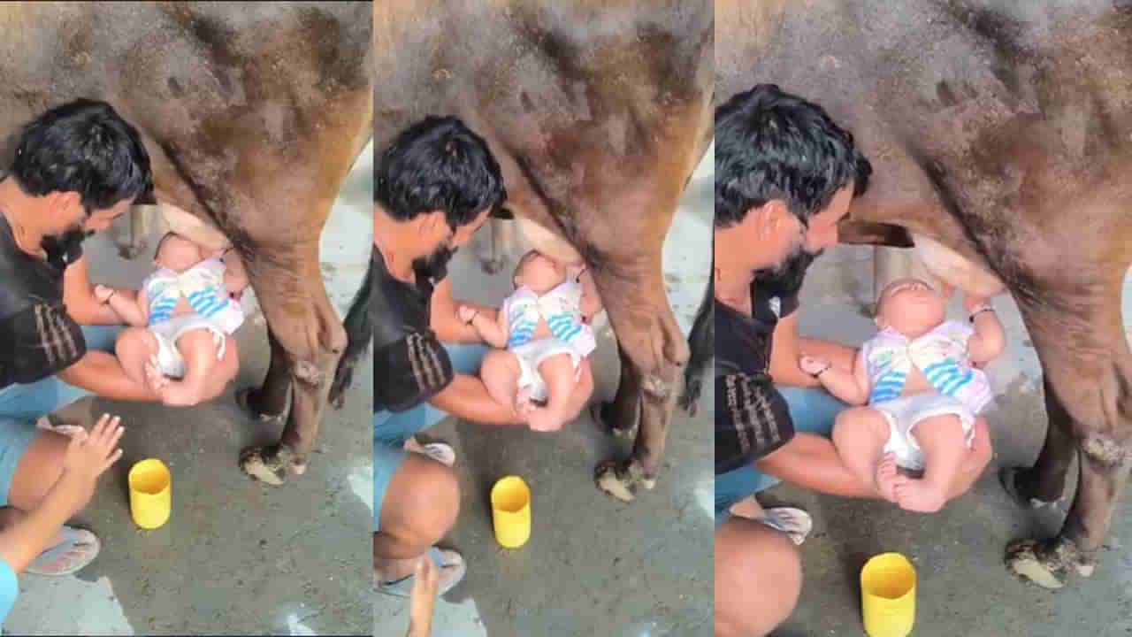 Cow Milk for Infants: పసి పిల్లలకు ఆవు పొదుగు నుంచి నేరుగా పాలు పట్టొచ్చా..? ఈ సందేహం మీకూ ఉందా..