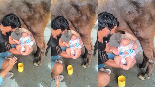 Cow Milk for Infants: పసి పిల్లలకు ఆవు పొదుగు నుంచి నేరుగా పాలు పట్టొచ్చా..? ఈ సందేహం మీకూ ఉందా..