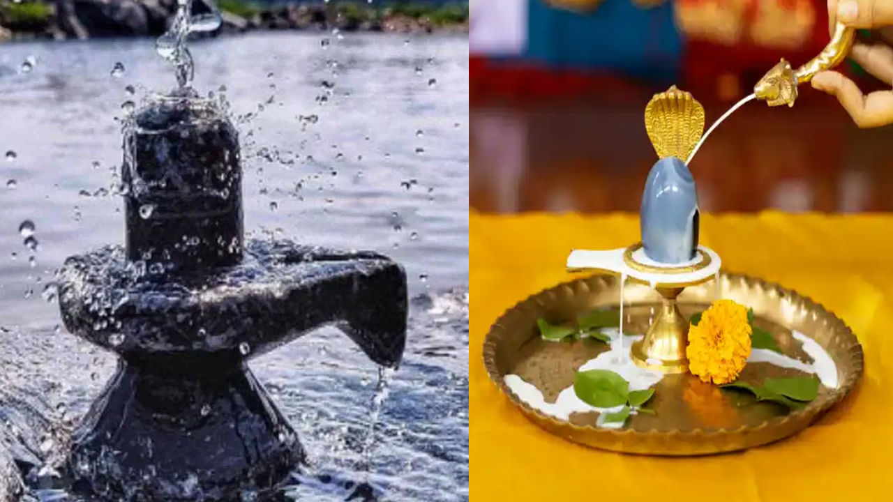 Lord Shiva Puja: శివుడు అభిషేక ప్రియుడు.. అభిషేకం, రుద్రాభిషేకం మధ్య తేడా ఏమిటో తెలుసా..
