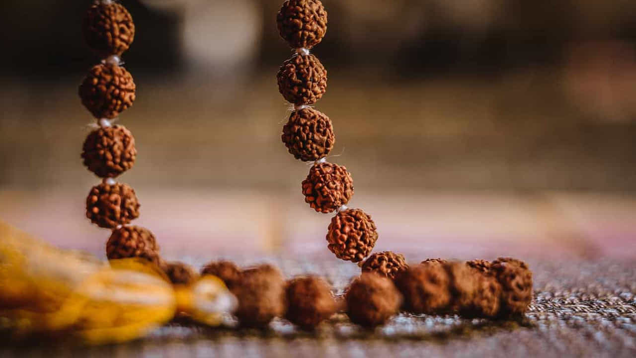 వైద్య వృత్తి: వైద్య వృత్తిలో విజయం సాధించడానికి త్రి ముఖి, నాలుగు ముఖాలు, 09 ముఖి, 10 ముఖి, 11 ముఖి రుద్రాక్షలను ధరించాలి. జ్యోతిషశాస్త్రం ప్రకారం ఈ రుద్రాక్షలన్నీ వైద్యులకు, వైద్య రంగానికి సంబంధించిన వ్యక్తులకు చాలా పవిత్రమైనవిగా పరిగణించబడతాయి.