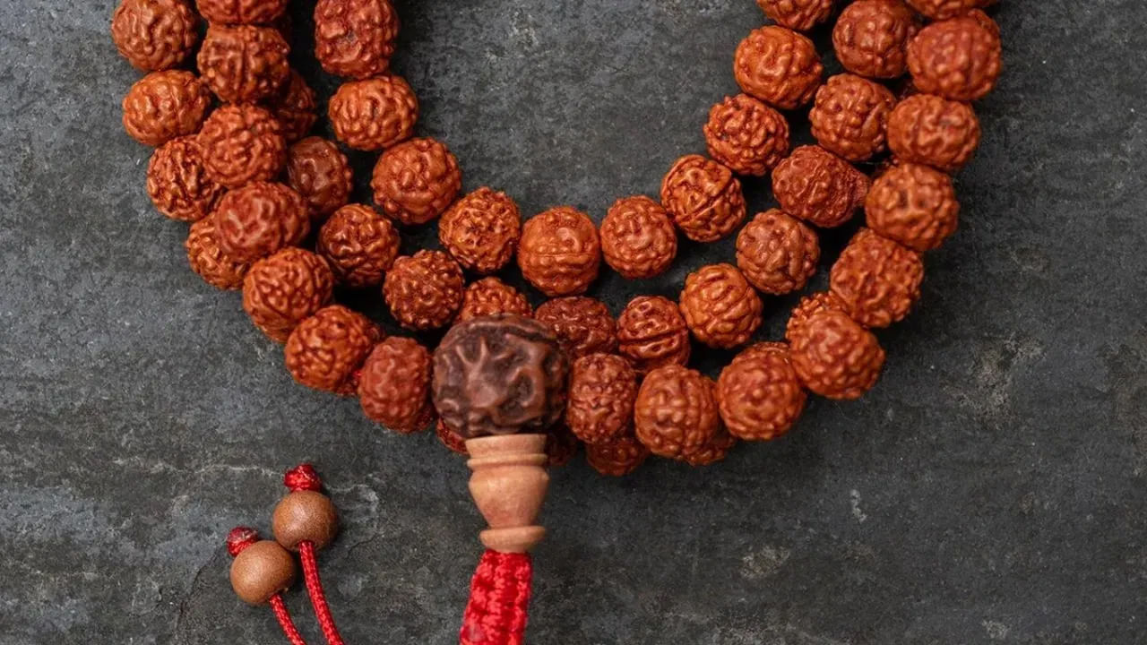 Rudraksha 3