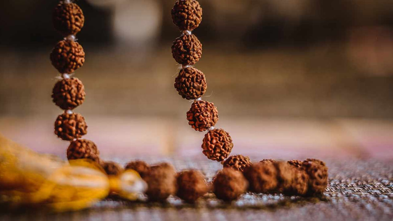 హిందూ మతంలో రుద్రాక్షకు ప్రత్యేక ప్రాముఖ్యత ఉంది. రుద్రాక్ష శివుని కన్నీళ్ల నుంచి ఉద్భవించాయని సనాతనుల నమ్మకం. రుద్రాక్షను ధరిస్తే వారి చెడు గ్రహాలు సరిదిద్దబడతాయని, వారు చేపట్టే అన్ని పనుల్లోనూ విజయం సాధిస్తారని నమ్మకం. అంతేకాదు రుద్రాక్ష ధరించని వారి జీవితం సంతోషంగా, విజయవంతంగా ఉంటుందని కూడా నమ్ముతారు.