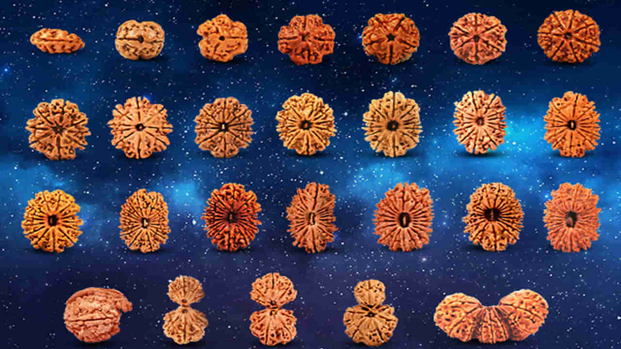 Rudraksha Benefits: రుద్రాక్షలు ఎన్ని రకాలు? ప్రాముఖ్యత? ఏ రకమైన రుద్రాక్షని ధరిస్తే ఎటువంటి ఫలితాలో తెలుసా..