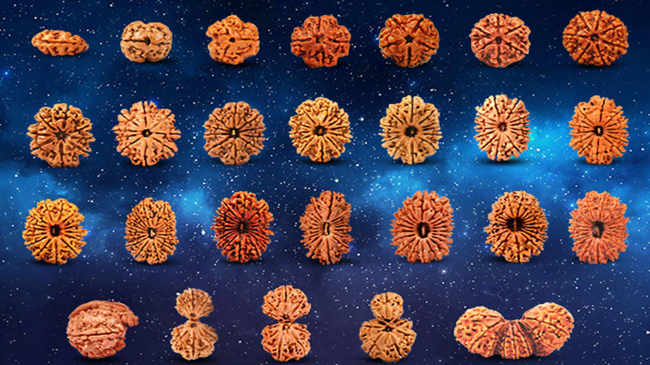 Rudraksha Benefits: రుద్రాక్షలు ఎన్ని రకాలు? ప్రాముఖ్యత? ఏ రకమైన రుద్రాక్షని ధరిస్తే ఎటువంటి ఫలితాలో తెలుసా..