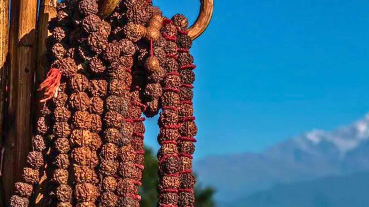 రాజకీయం: రాజకీయ రంగంలో మీ స్థానాన్ని పదిల పరుచుకోవాలంటే.. ఈ రంగంలో మీ స్థానాన్ని, స్థాయిని పెంచుకోవాలనే కోరిక ఉంటే, మీ కోరిక నెరవేరడానికి ఏకముఖి, 13 ముఖి, 14 ముఖి రుద్రాక్షలను పూజించాలి.