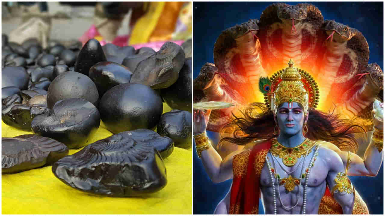 Saligram Pooja : సాక్షాత్తు శ్రీమహావిష్ణువు స్వరూపాలు.. ఇంట్లో పూజిస్తే మాత్రం ఈ అనర్థాలు తప్పవు