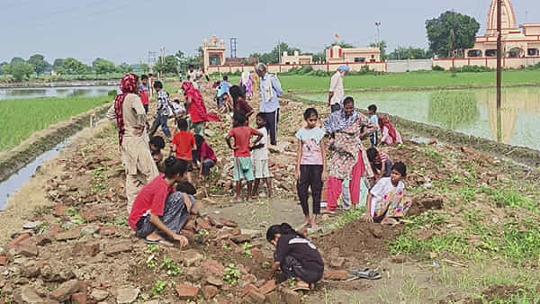 Viral: పొలాల పక్కన ఉన్న మట్టి కుప్పల్లో మెరుస్తూ కనిపించాయ్ - ఏంటా అని చూడగా..