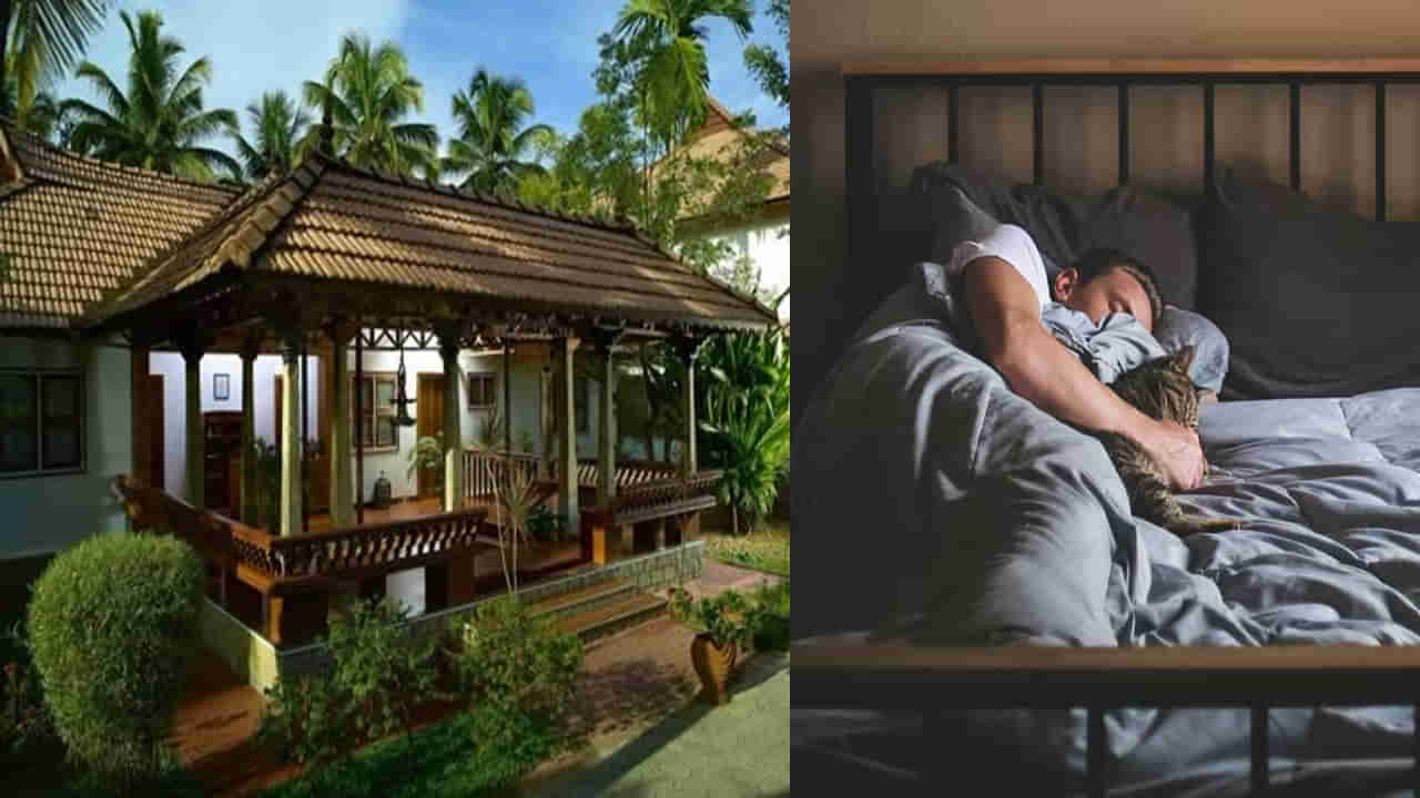 అర్ధరాత్రి గాఢనిద్రలో ఉండగా పరుపులో అలికిడి..! ఏంటాని చూడగా గుండె గుభేల్..