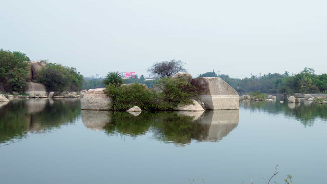 షామిర్పేట్ సరస్సు: హైదరాబాద్ నగరం నుంచి 24 కిలోమీటర్ల దూరంలో ఉన్న మృగవాణి జాతీయ ఉద్యానవనంలో భాగంగా షామిర్పేట్ సరస్సు ఉంది. ఈ సరస్సు చుట్టూ ఉన్న ఆకురాల్చే చెట్ల ఆకట్టుకుంటాయి. పక్షి, వన్యప్రాణుల ప్రేమికుల మంచి పిక్నిక్ స్పాట్ అనే చెప్పాలి.
