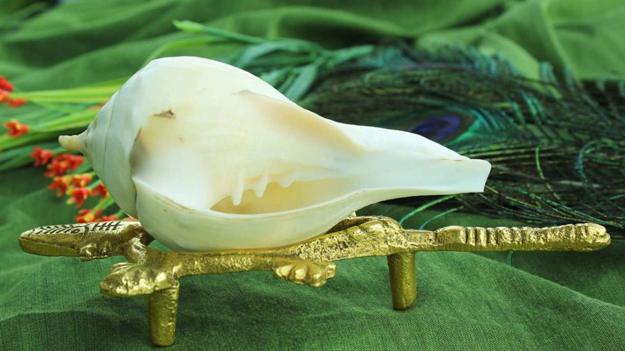 ఉదయం లేదా సాయంత్రం శంఖం శబ్దం వినిపిస్తే.. అది ఆర్థికంగా ఎదుగుదల జరగబోతుందని సూచించవచ్చు. శంఖం సముద్ర మథనం సమయంలో వచ్చిన పవిత్ర వస్తువు. అందుకే ఇది శ్రీ మహాలక్ష్మికి చాలా ఇష్టమైనదిగా, పూజల్లో ముఖ్యమైనదిగా ఉంటుంది.