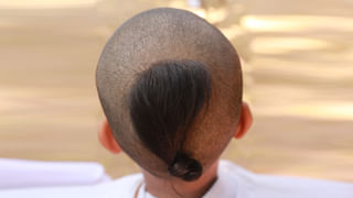 Papaya Tree : ఓరీ దేవుడో.. ఇంట్లో బొప్పాయి చెట్టు ఉంటే ఇన్ని కష్టాలా..? ఏం జరుగుతుందంటే..