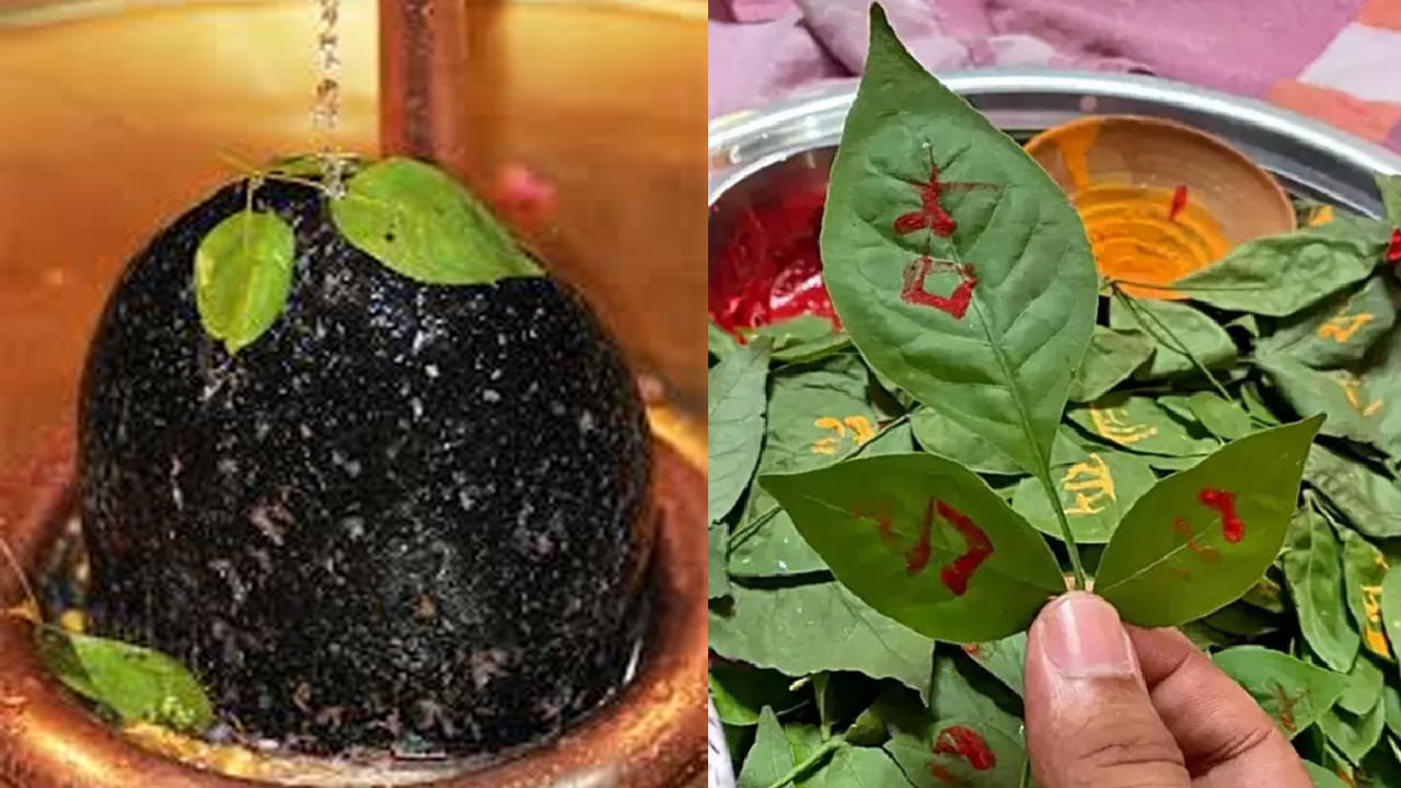 Shiva Bilva Puja