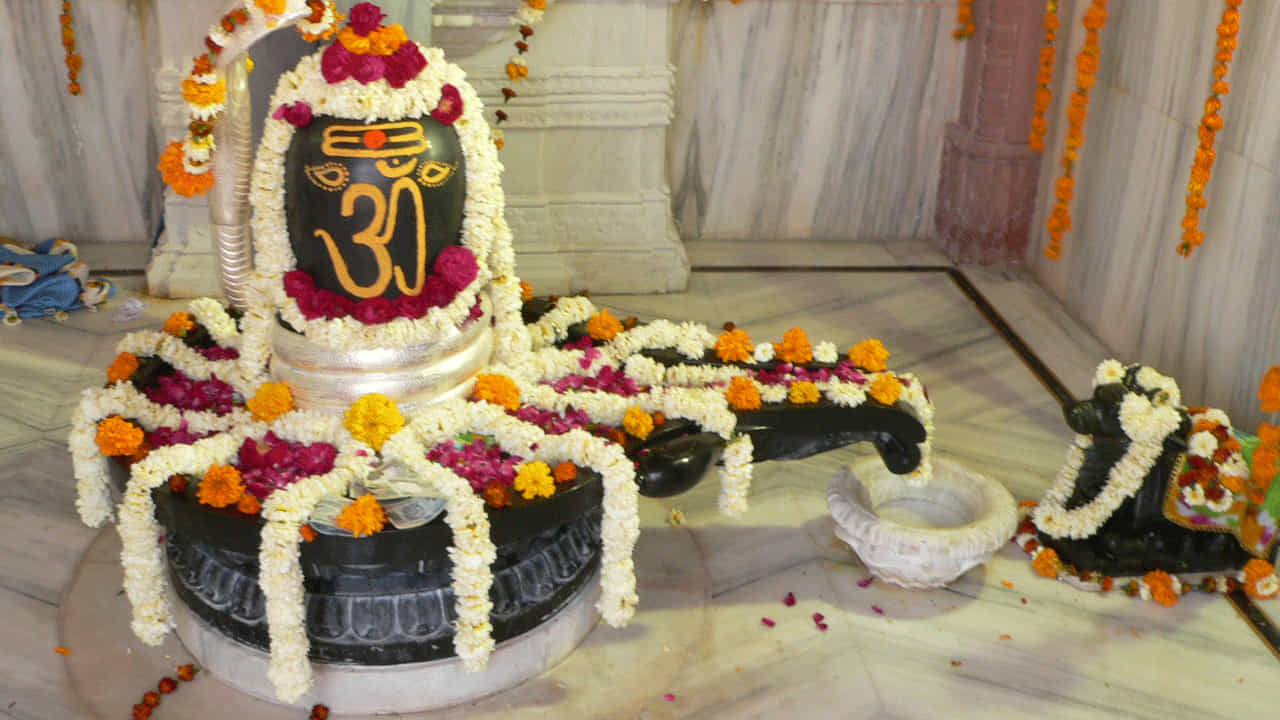 శనివారం ఉదయం ఉపవాసం ఉండి శని భగవాన్ ఆలయంలో నెయ్యిలో దీపం వెలిగిస్తే పుణ్యఫలం. లింగ స్వరూపుడు శివునికి స్వచ్ఛమైన ఆవు పాలతో అభిషేకం, బిల్వపత్రాలతో అర్చన మొదలైనవి చేస్తే శని దోషం తగ్గుతుంది. 