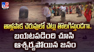 ఈ కుక్కలతో జాగ్రత్త.. కరిస్తే అంతే సంగతులు వీడియో