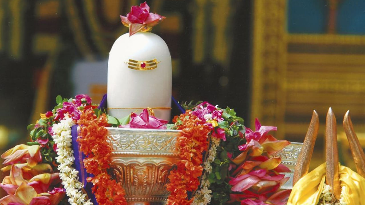 శ్రావణ మాసంలోని శుక్ల పక్షంలోని ఐదవ రోజున నాగ పంచమి పండుగ జరుపుకుంటారు. అయితే ఈ సారి జూలై 29న ఈ పండుగ వచ్చింది. ఈ రోజు నాగదేవతను పూజించి, శివుడి ఆశీస్సులు పొందుతారు. దీని వలన కాలసర్పదోషం నుంచి విముక్తి లభిస్తుంది. అయితే అప్పులు తీరాలి అంటే ఈ రోజు శివలింగానికి , గంగాజలం, నల్ల నువ్వులు, తేనె వంటివి సమర్పించాలంట.